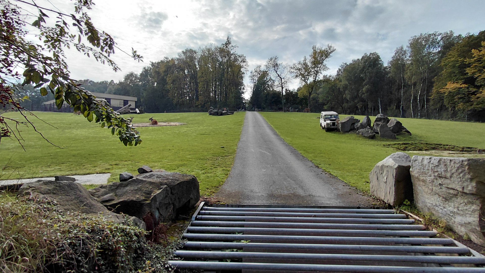 African savannah exhibit