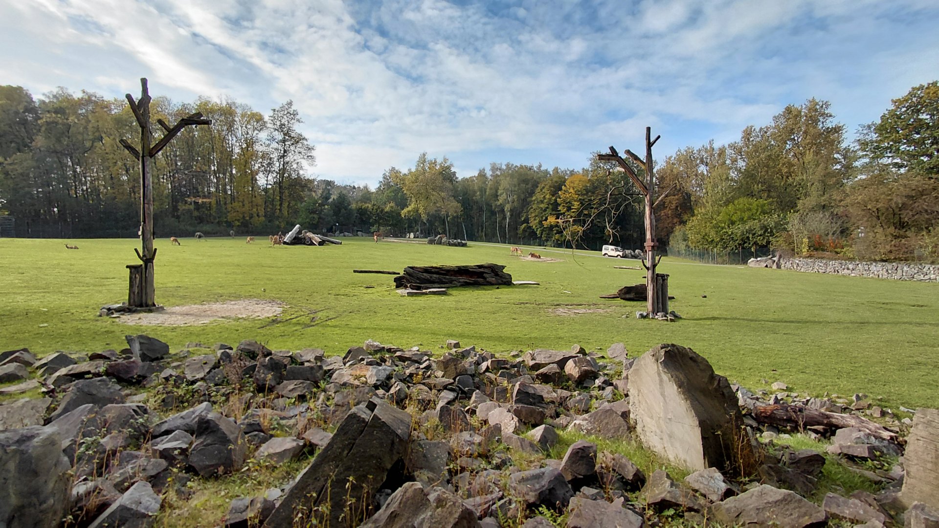 African savannah exhibit