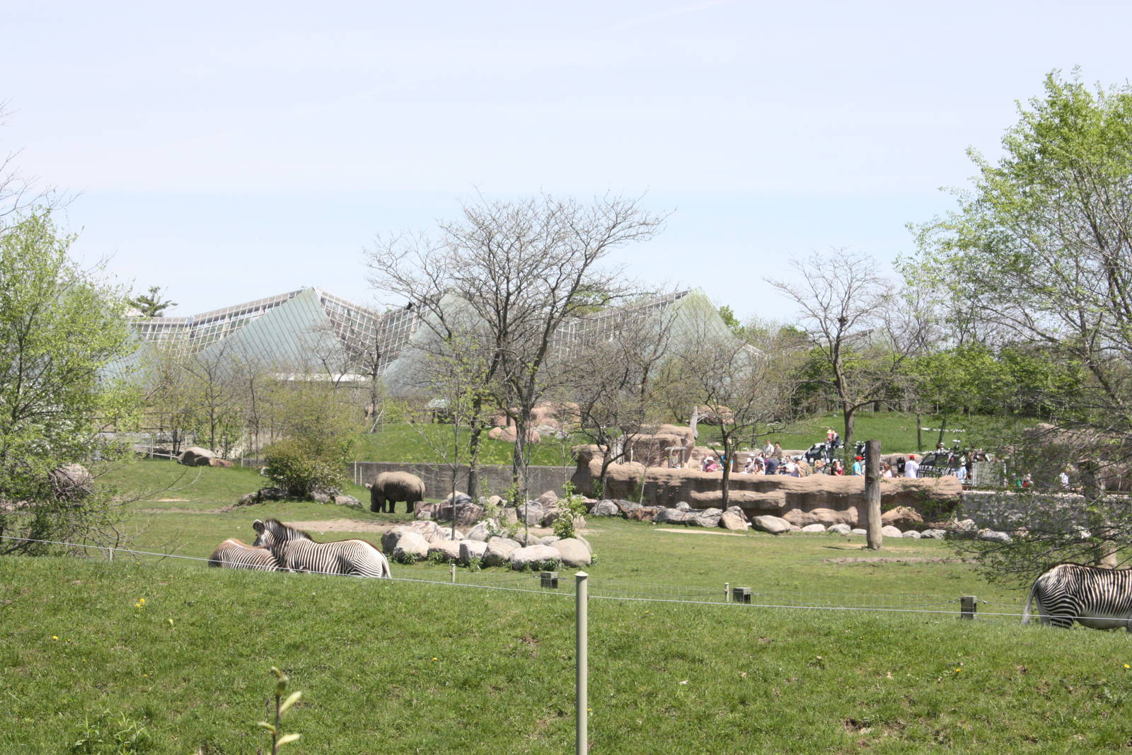 African Savannah Exhibits