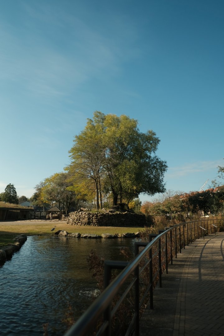 African Savannah - Fall 2024