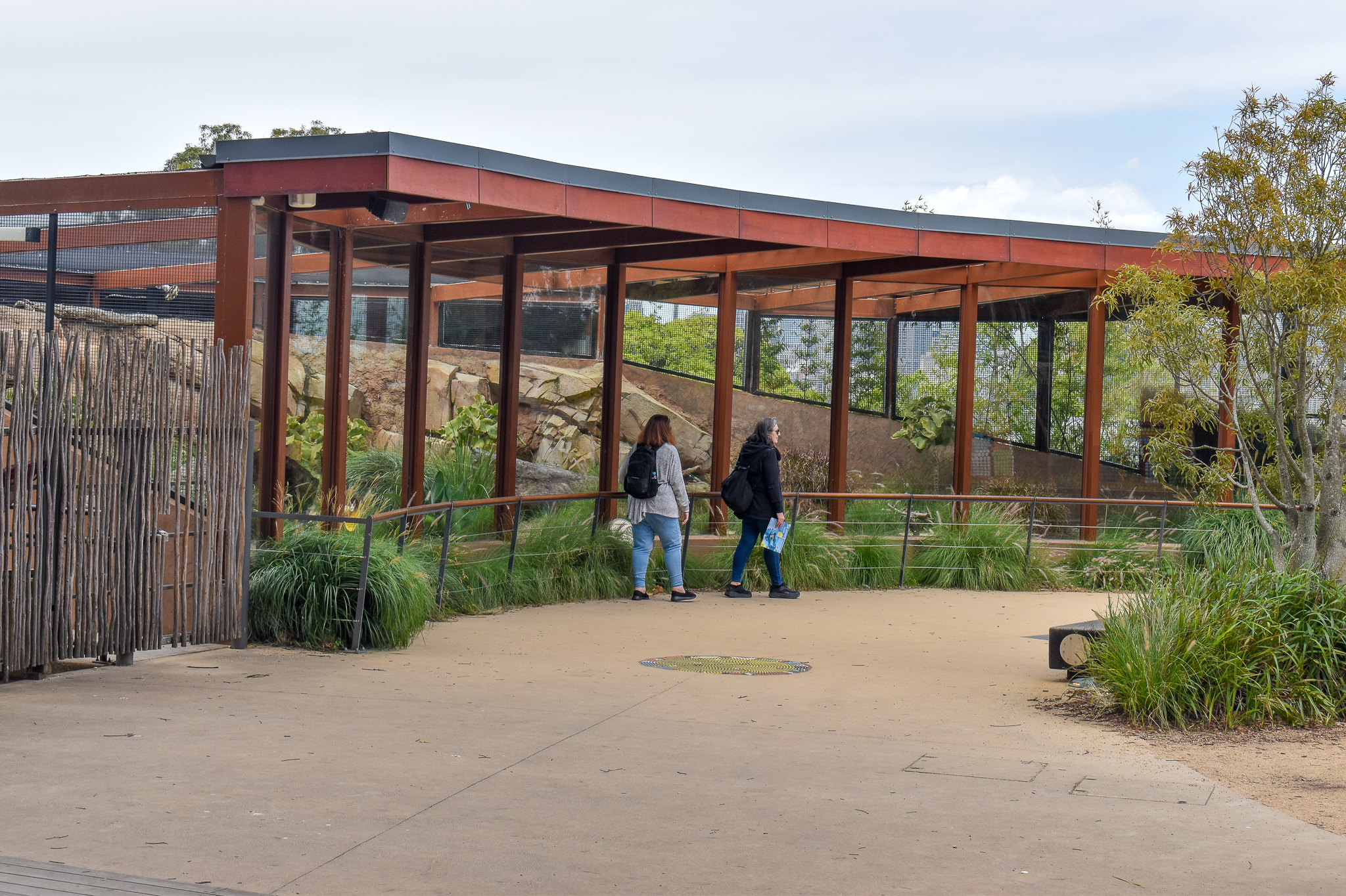 African Savannah - Fennec Fox Enclosure