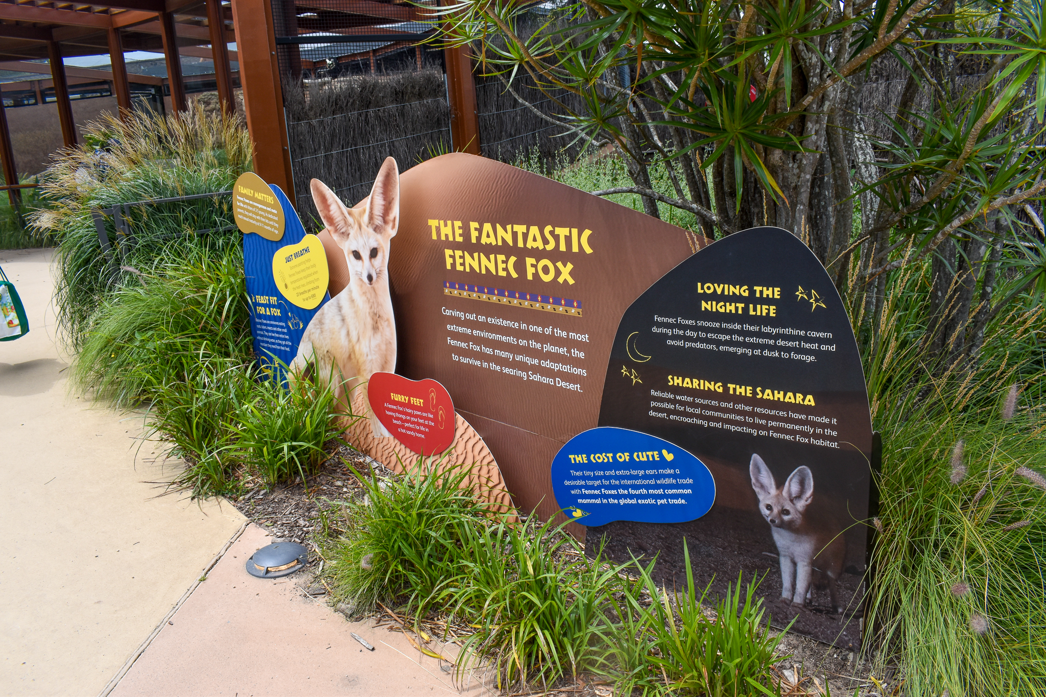 African Savannah - Fennec Fox Signage