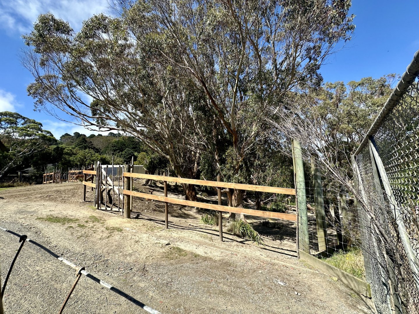 African Savannah - Filter Fence