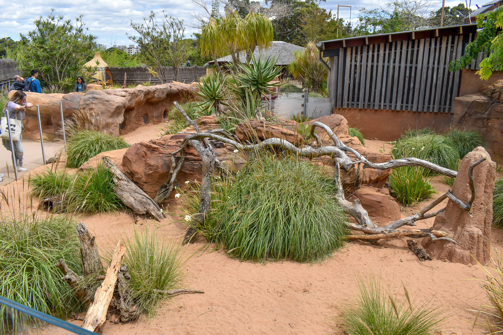 African Savannah - First Meerkat Enclosure