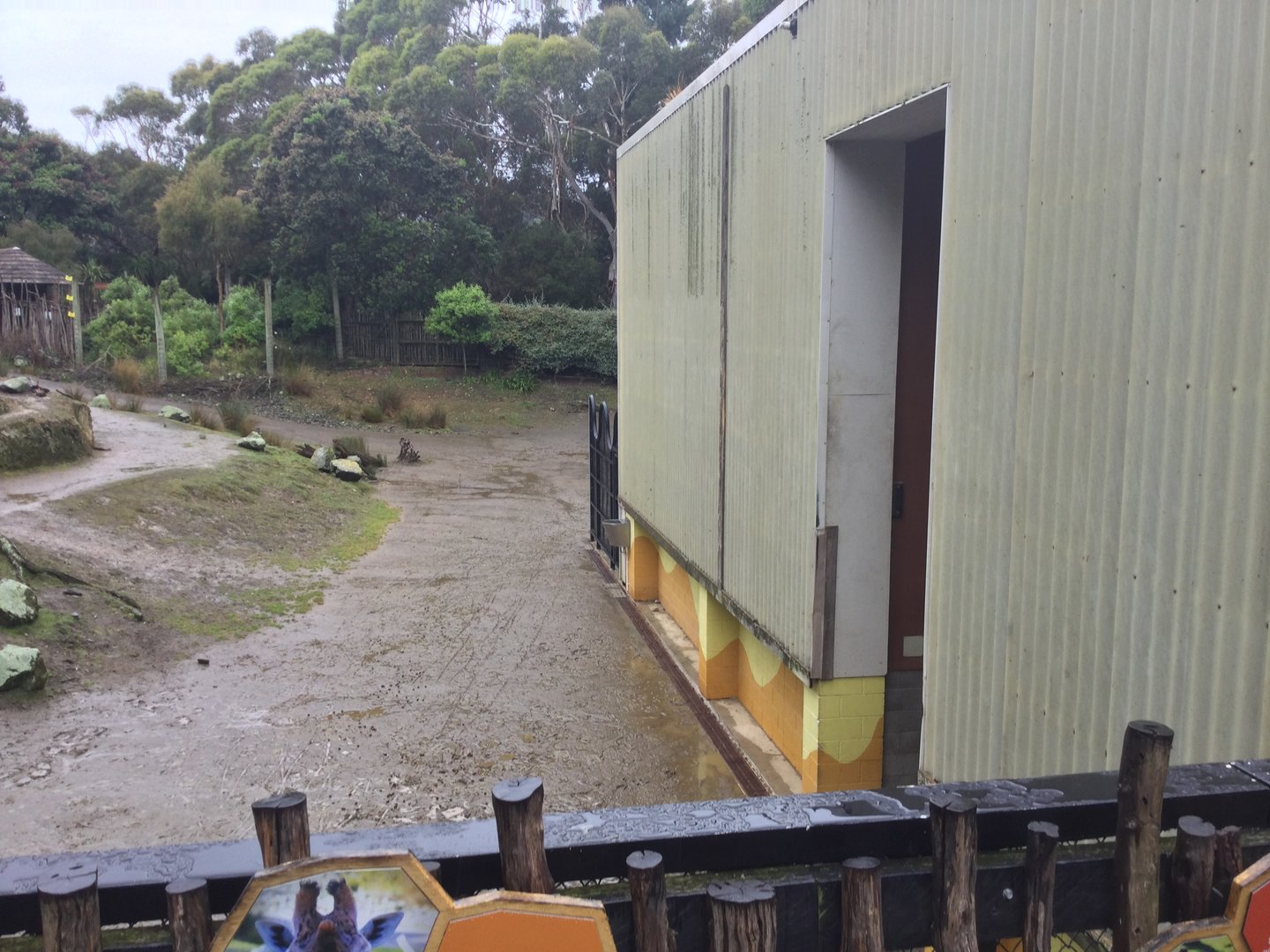 African Savannah - Giraffe Night House