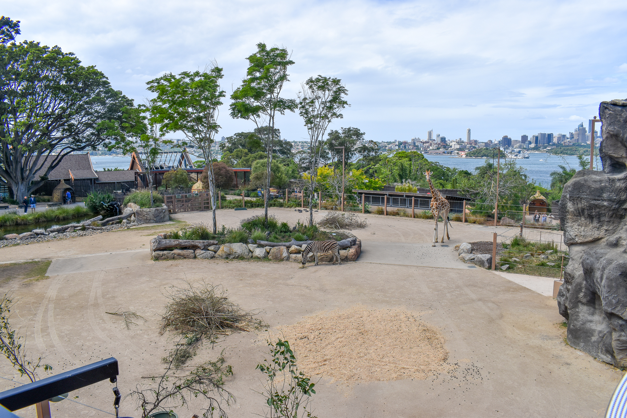 African Savannah - Giraffe/Zebra Enclosure