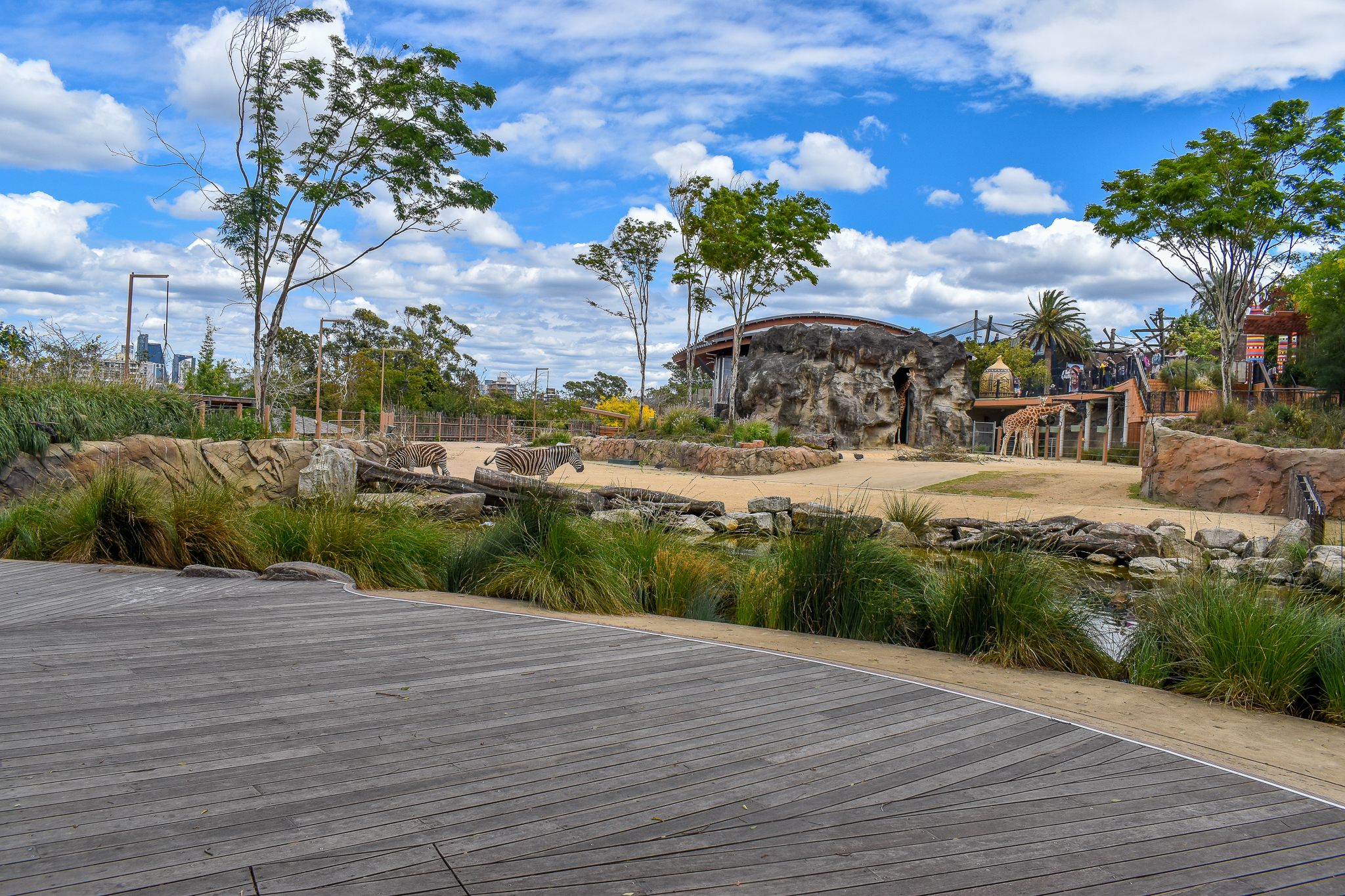African Savannah - Giraffe/Zebra Enclosure