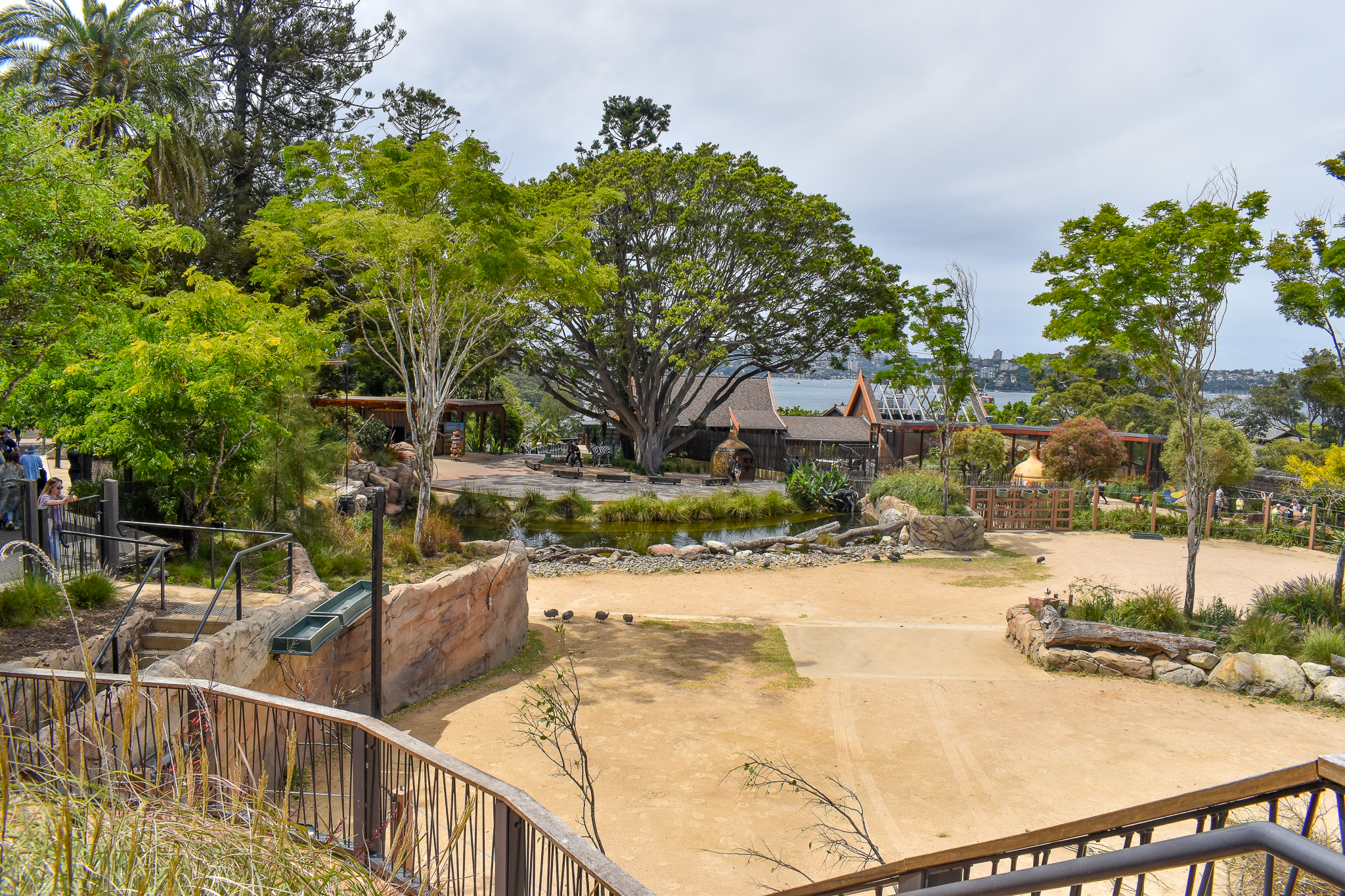 African Savannah - Giraffe/Zebra Enclosure