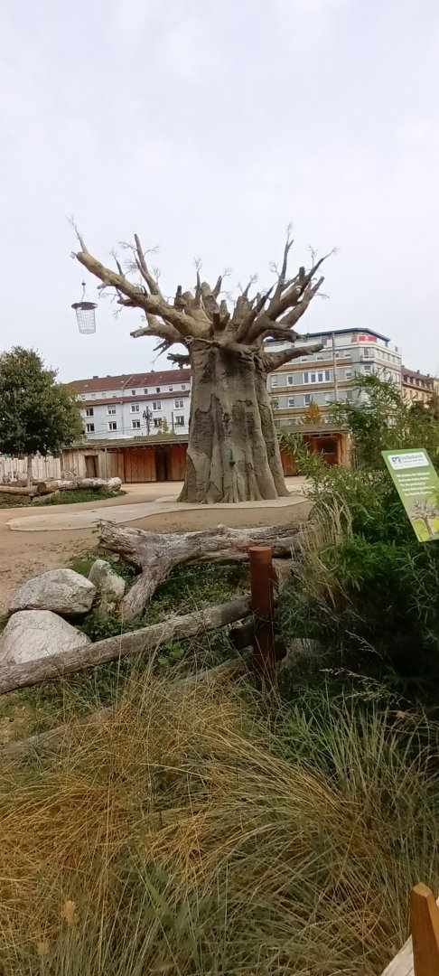 African Savannah: Grey crowned Crane and Plains Zebra (Grants) Enclosure
