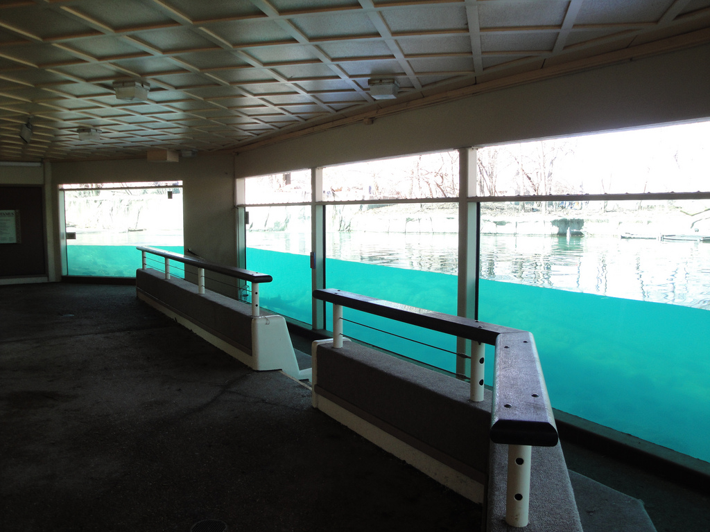 African Savannah - Hippoquarium