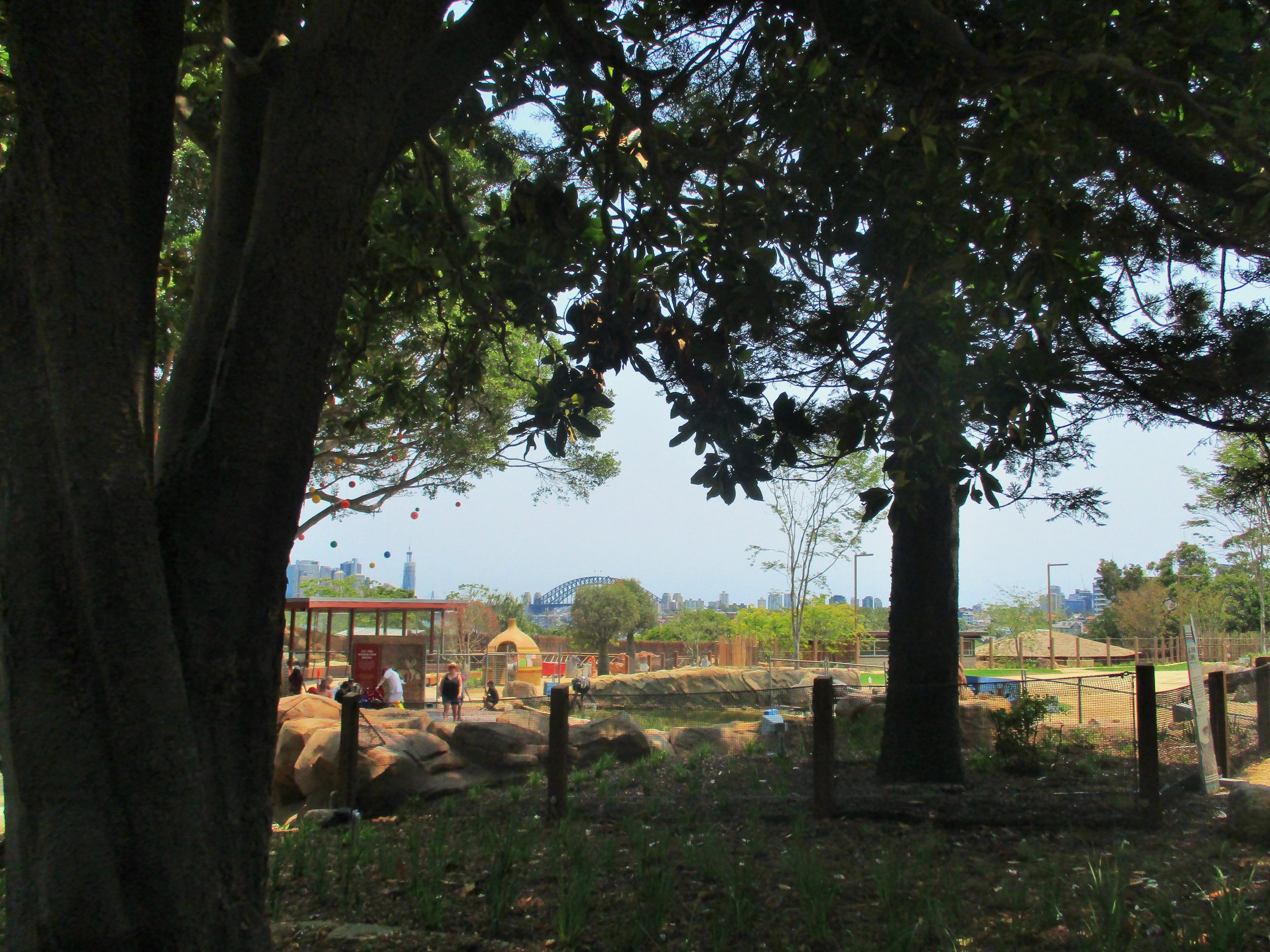 African Savannah (Opening 2020)