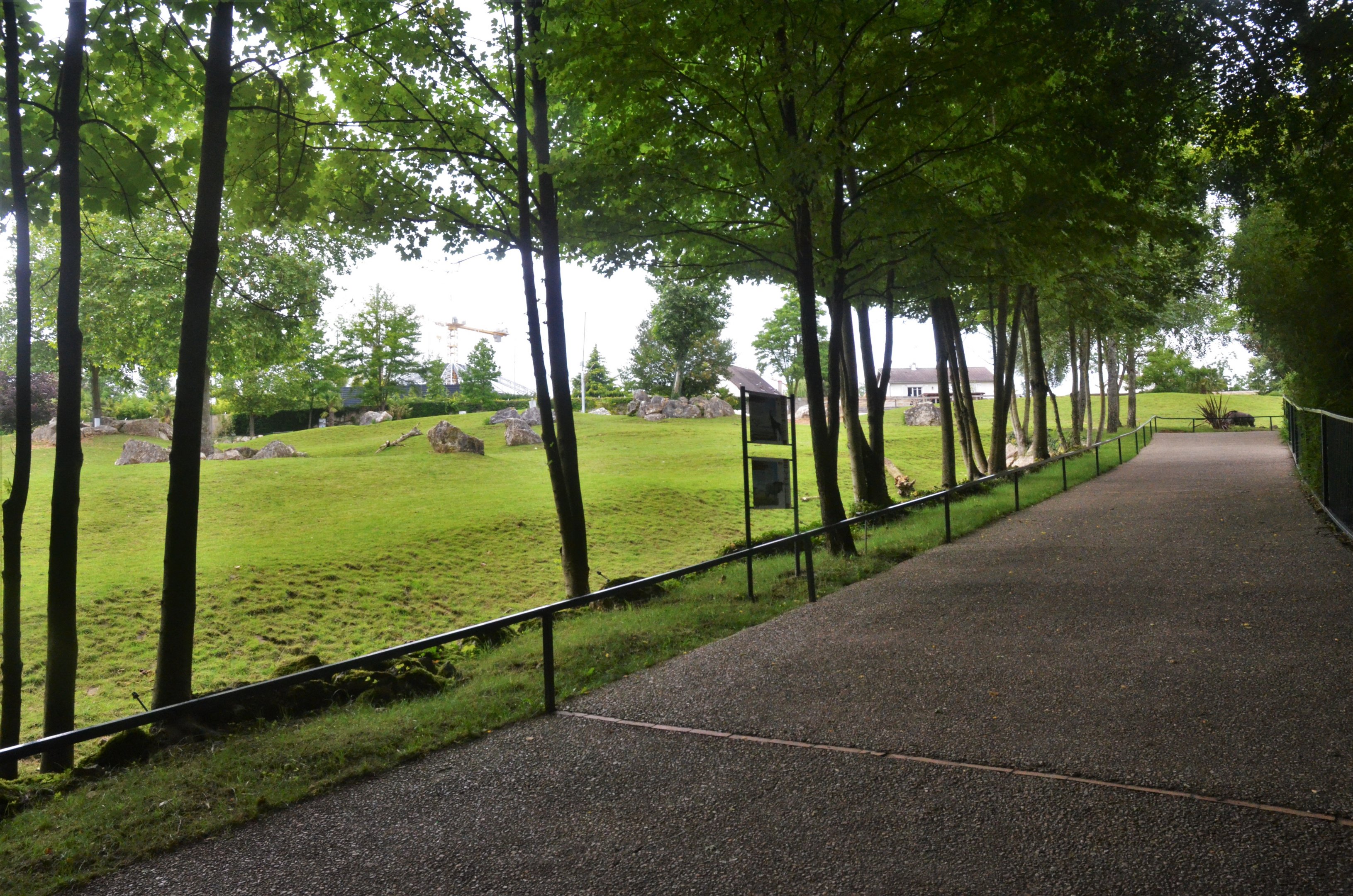 African Savannah Paddock at Beauval, 12/06/18