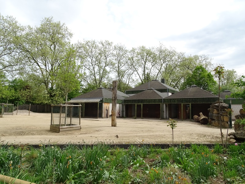 African savannah paddock (blesbok, zebra & guineafowl)