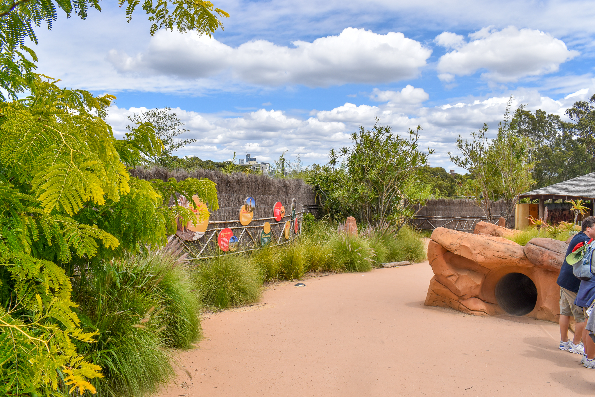 African Savannah - Pathway between Meerkat Enclosures