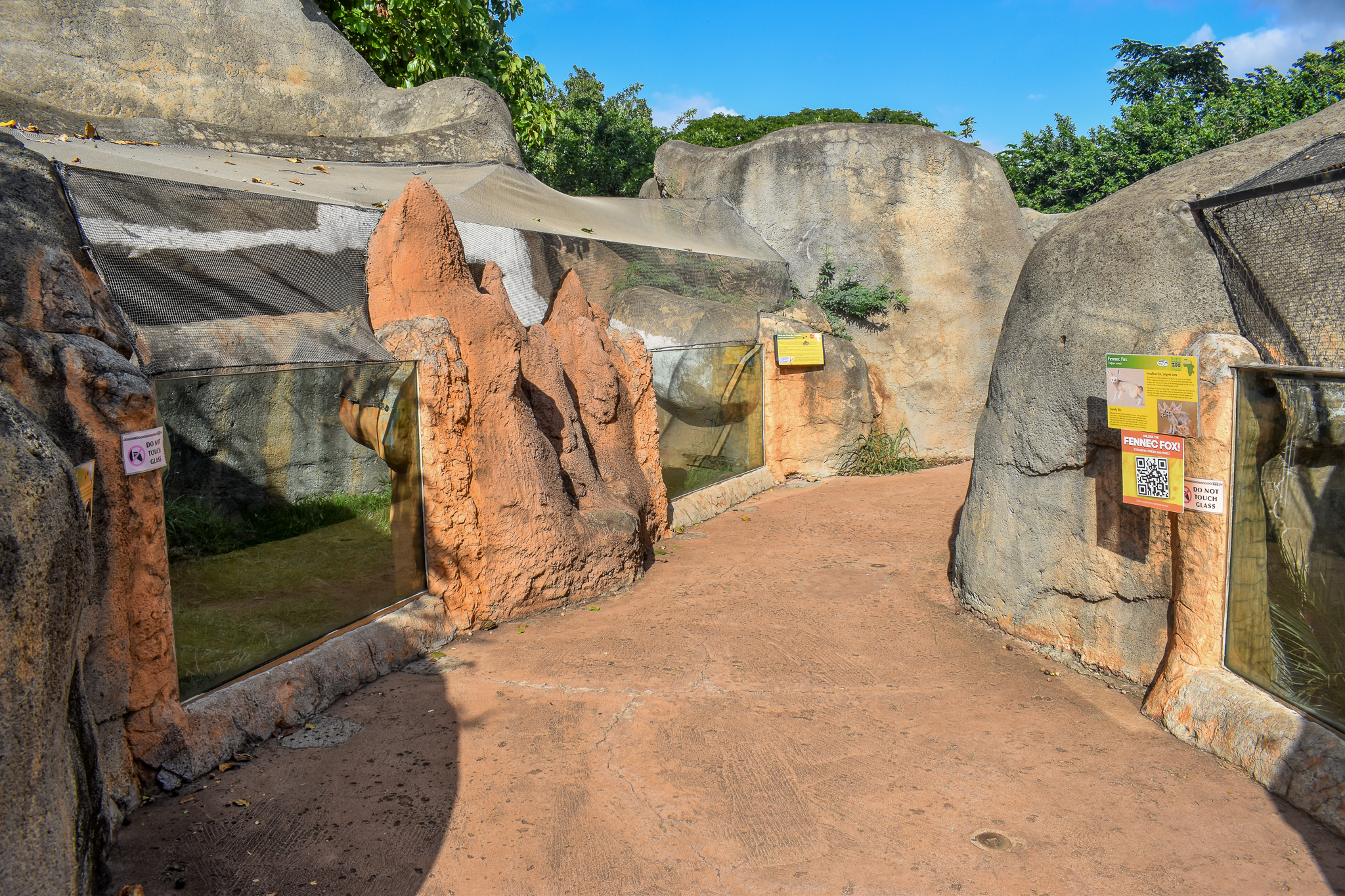 African savannah pathway