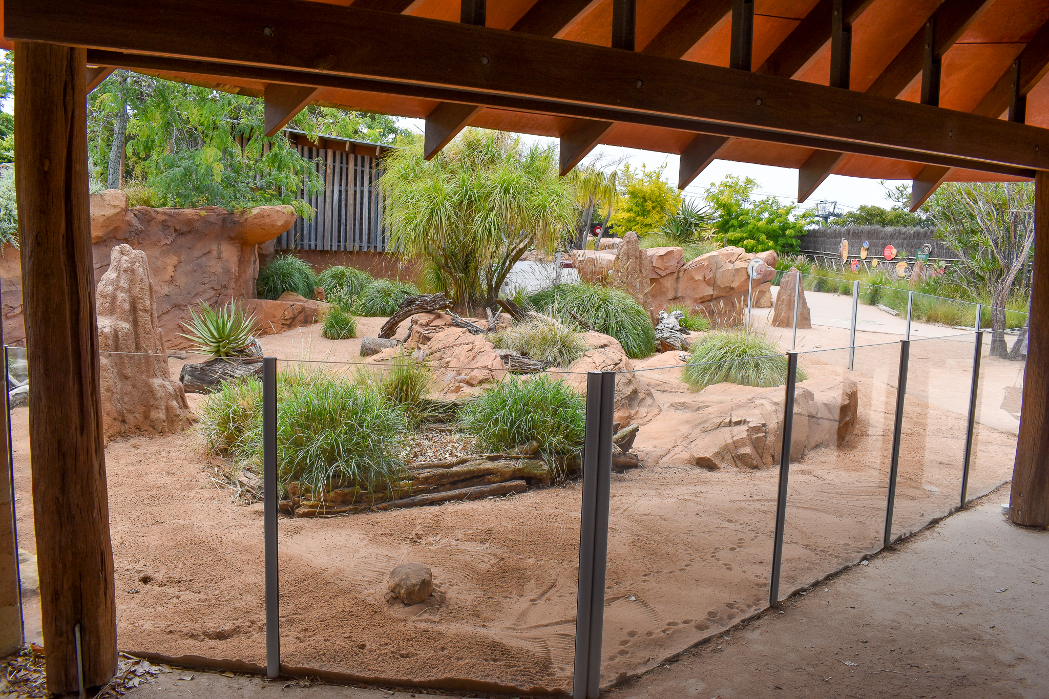 African Savannah - Second Meerkat Enclosure