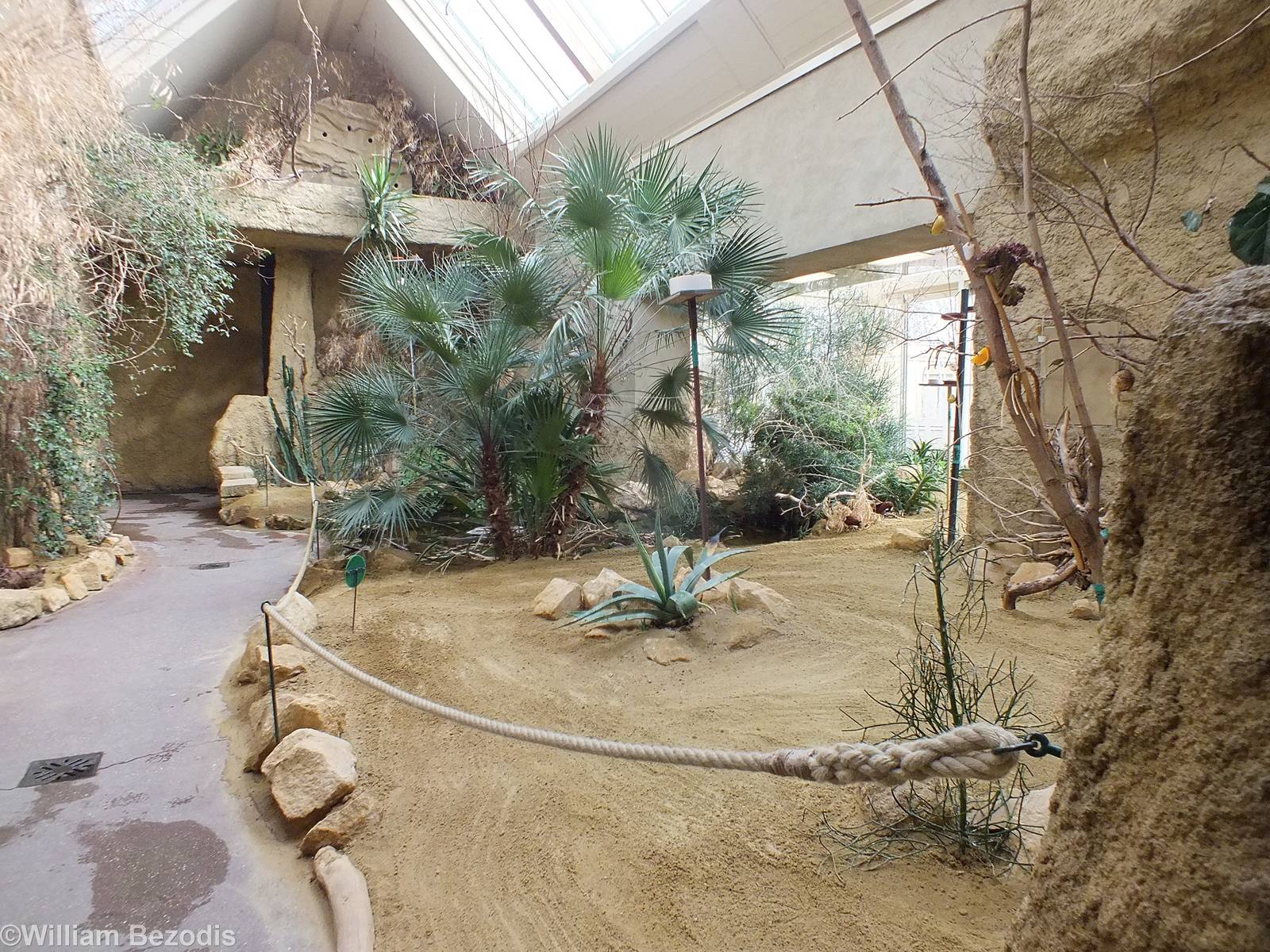 African Savannah Section of Bird House