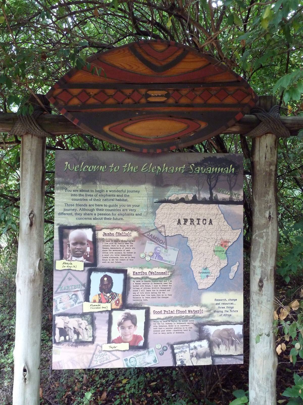 African Savannah - Sign