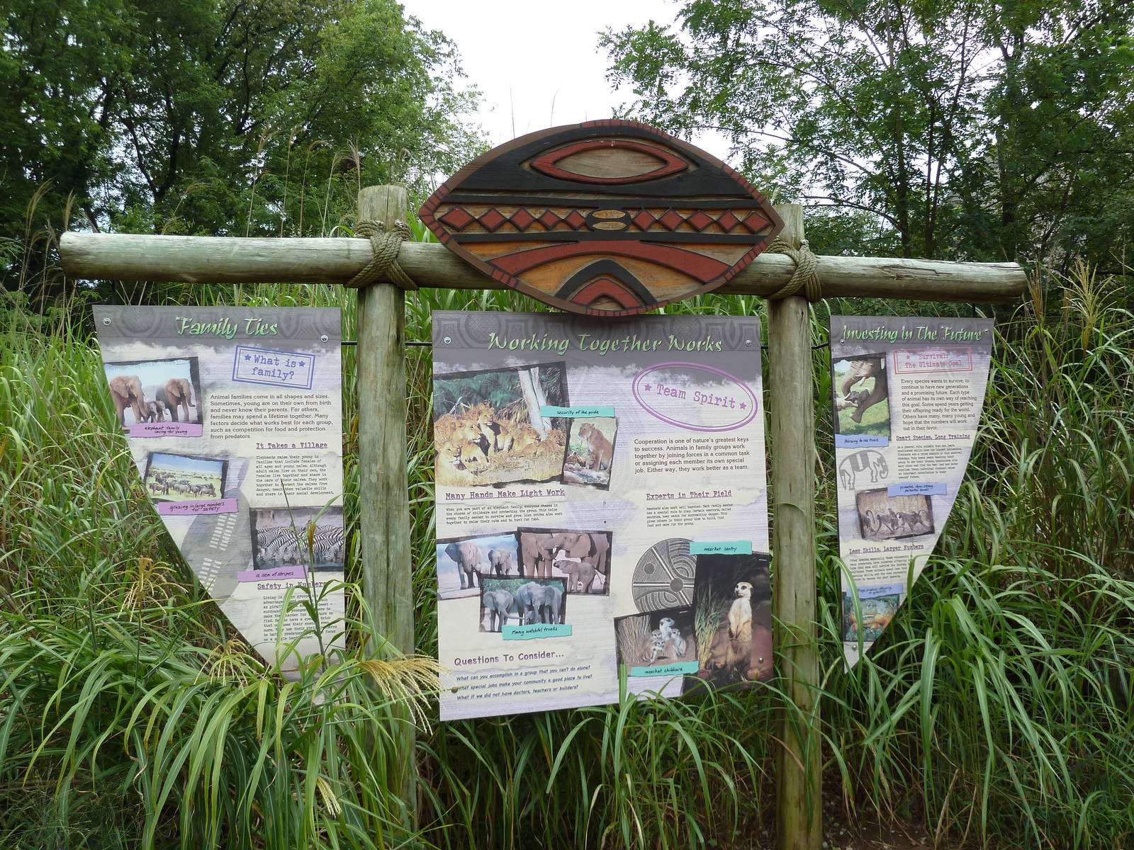 African Savannah - Sign