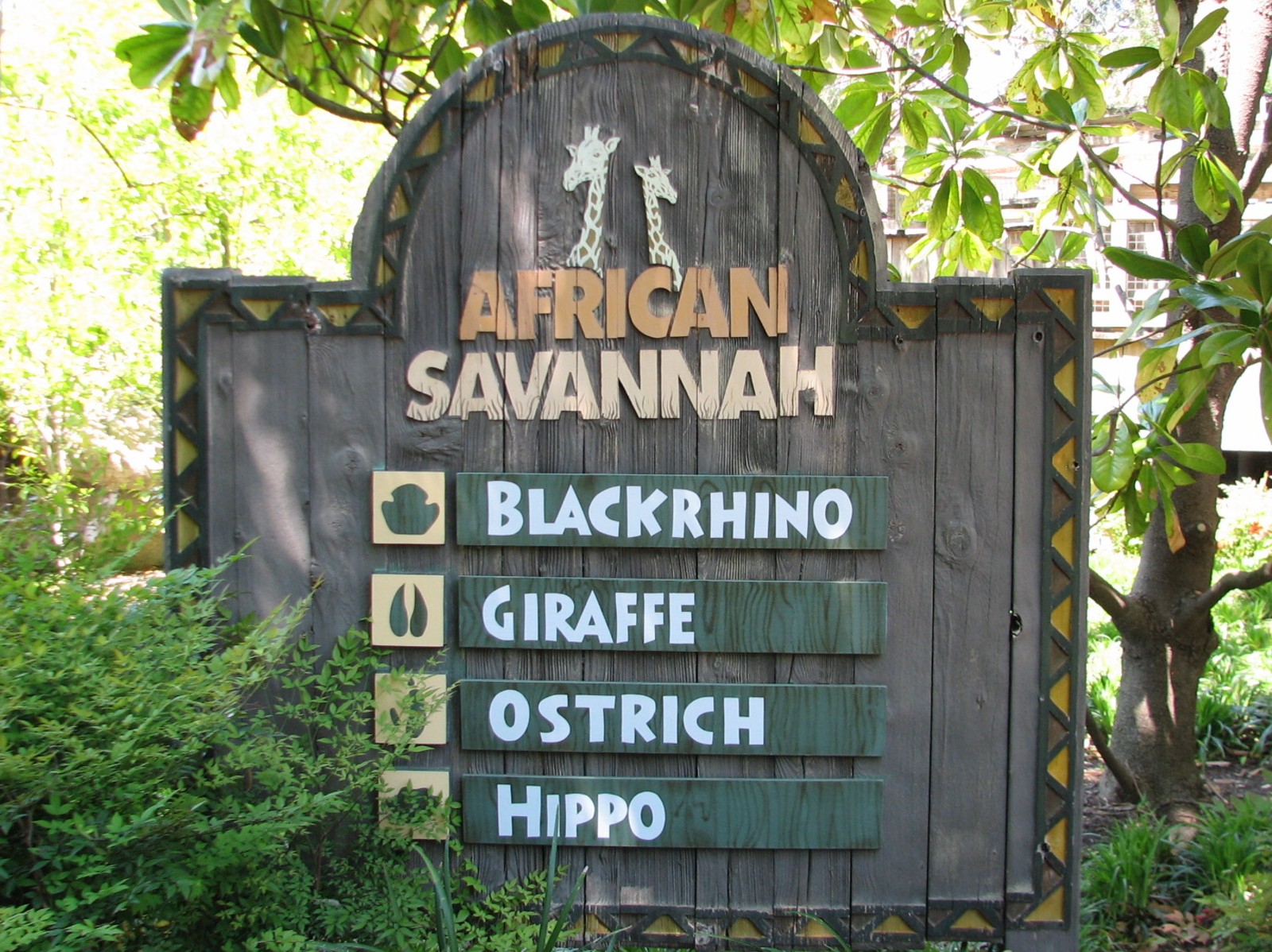 African Savannah - Sign