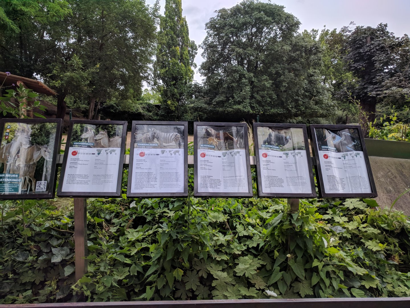 African Savannah Signage