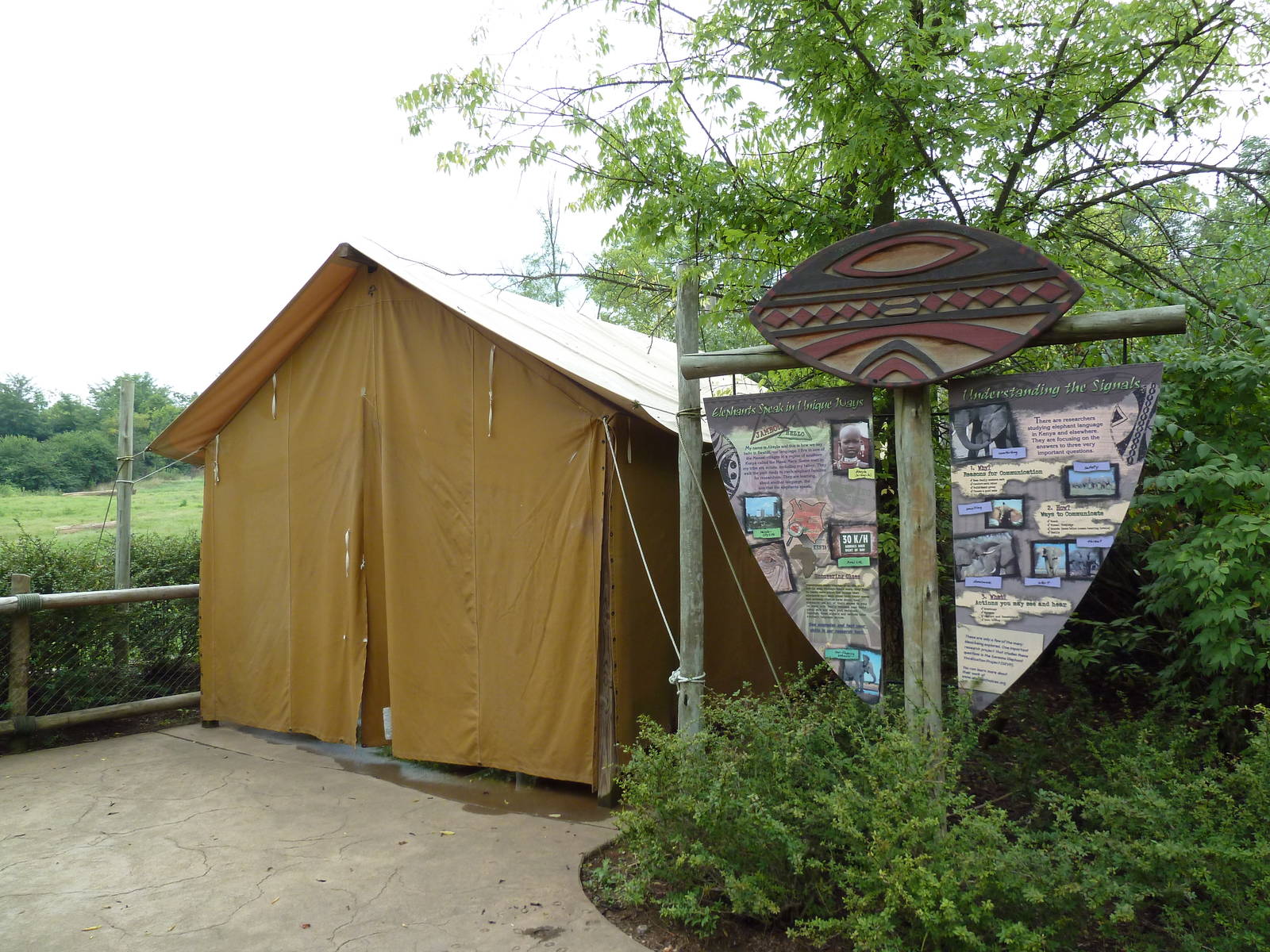 African Savannah - Tent
