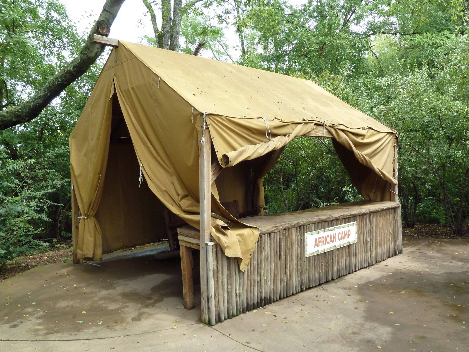 African Savannah - Tent