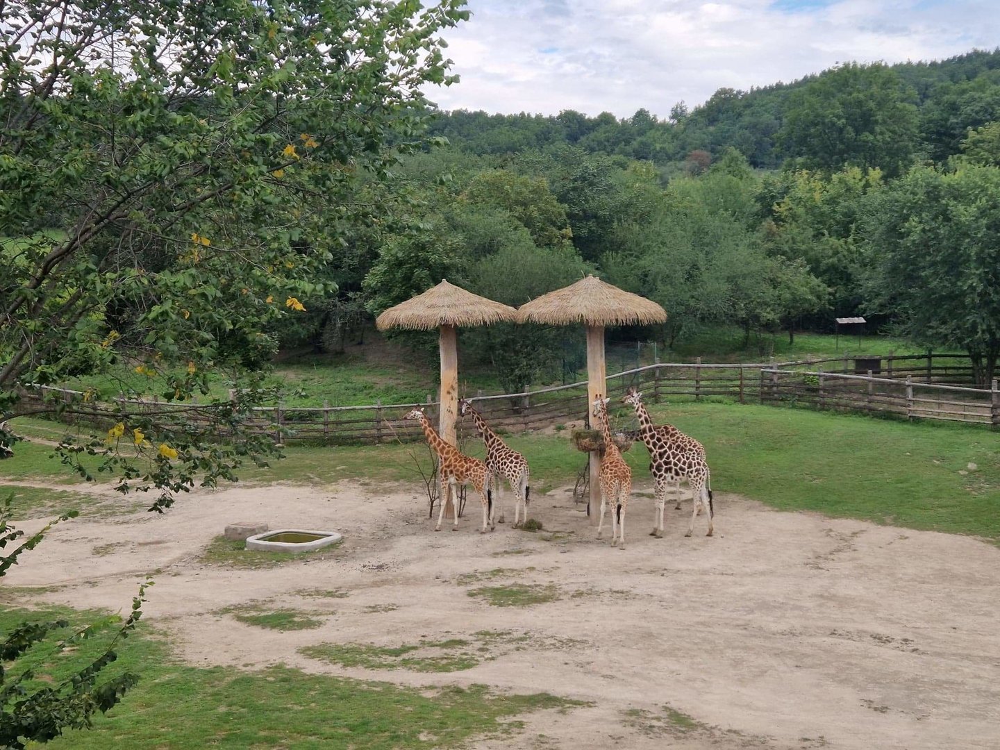 African Savannah, view from the bridge