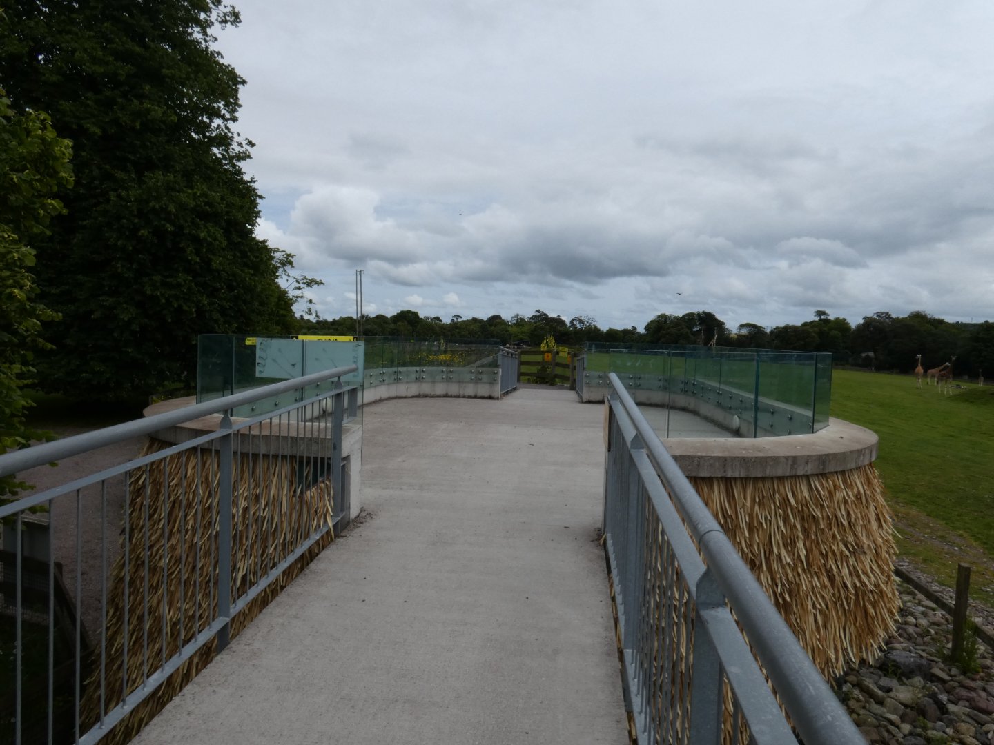 African savannah viewing area
