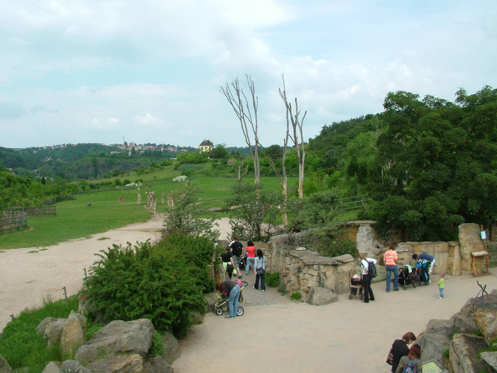 African Savannah viewing at Prague, 24/05/10