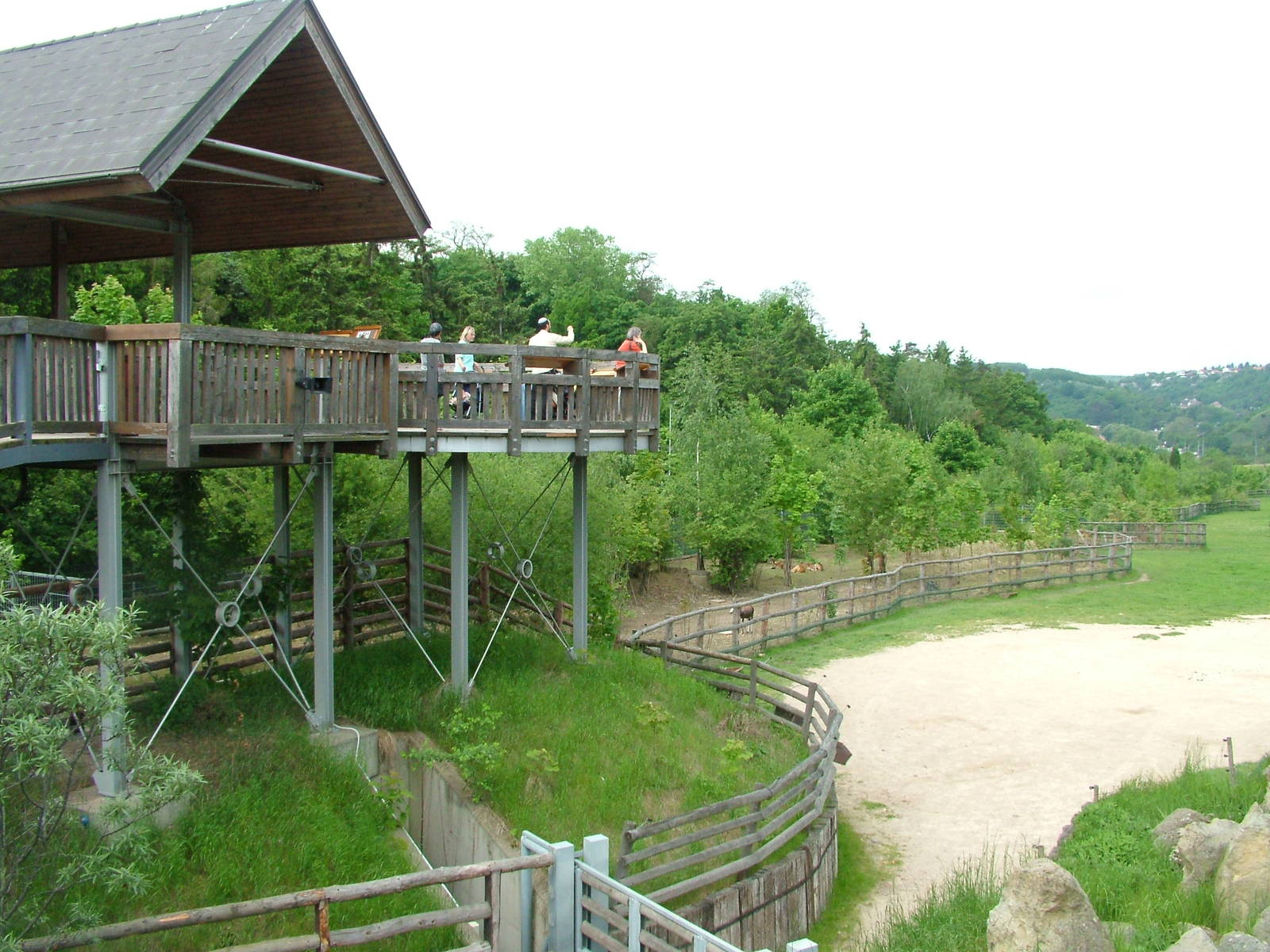 African Savannah viewing at Prague, 24/05/10