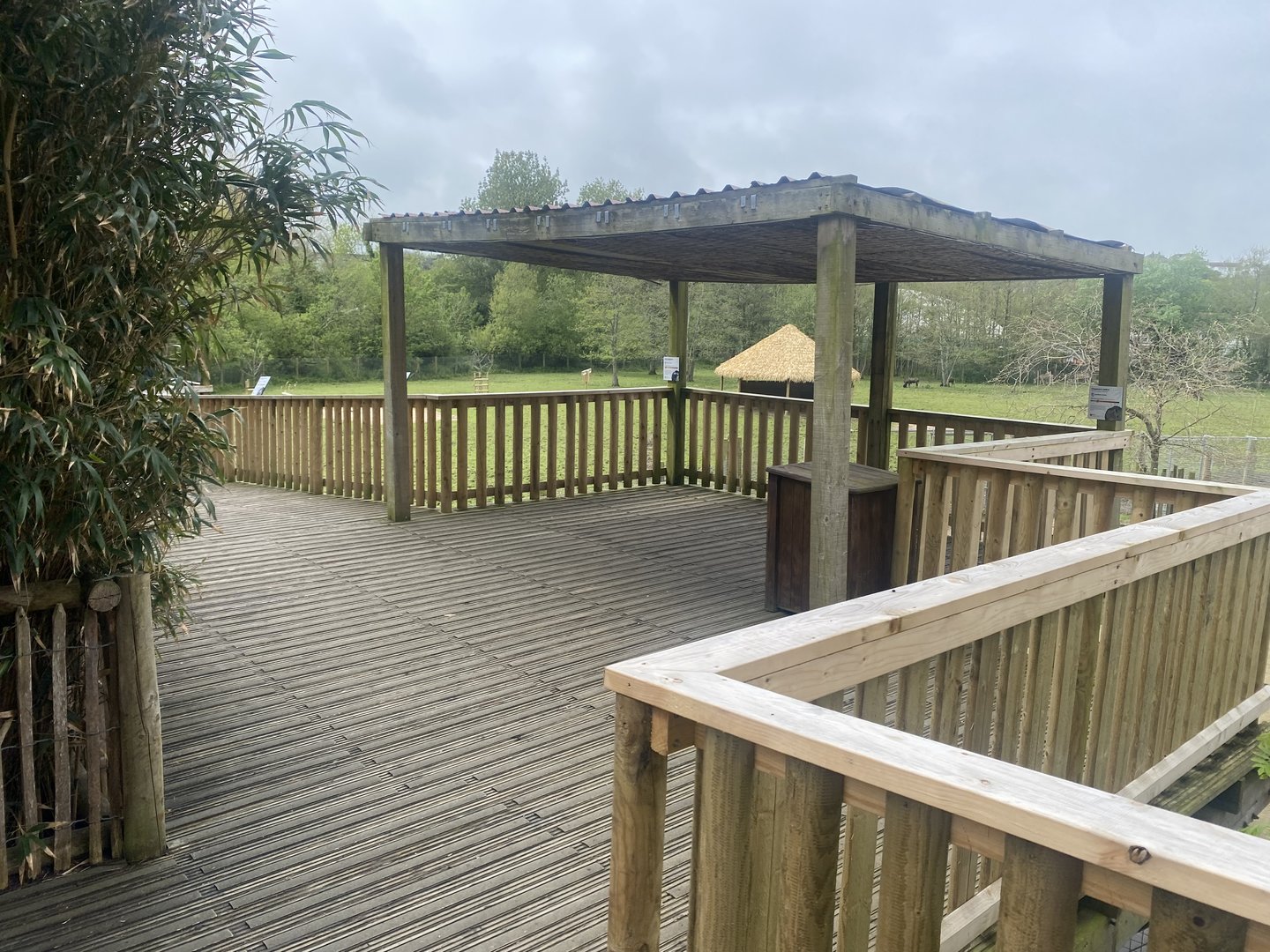 African Savannah viewpoint 060523