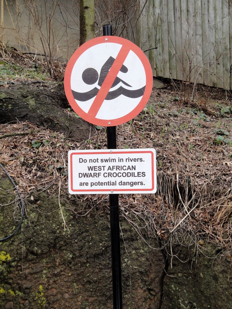 African Savannah - West African Dwarf Crocodile Sign