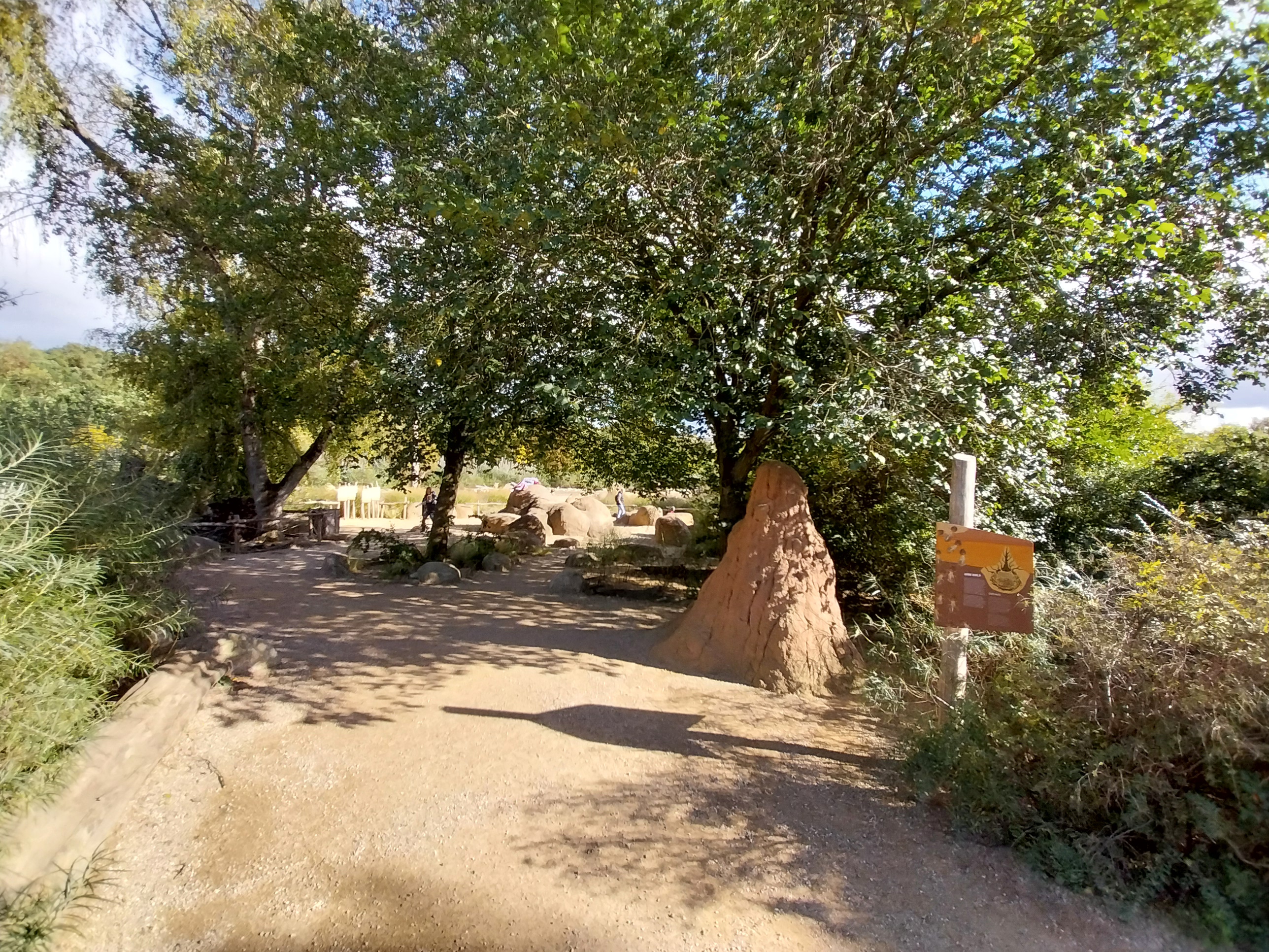 African Savannas trail