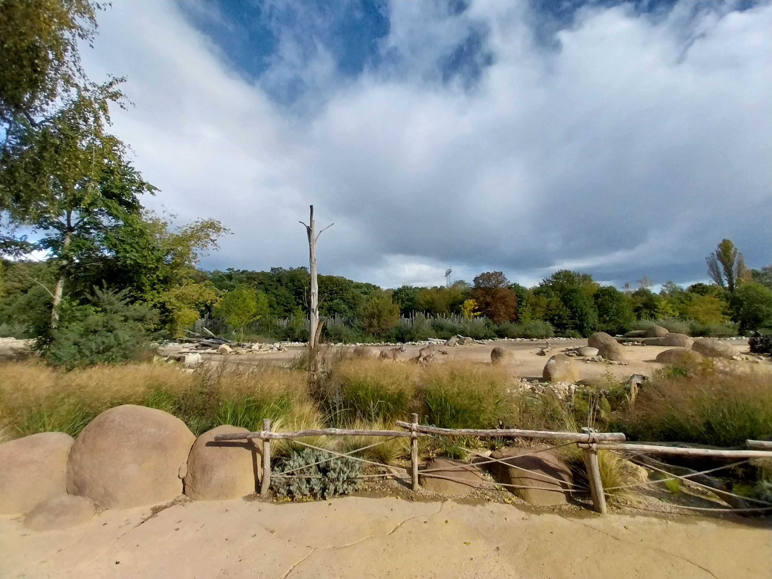 African Savannasw viewing point