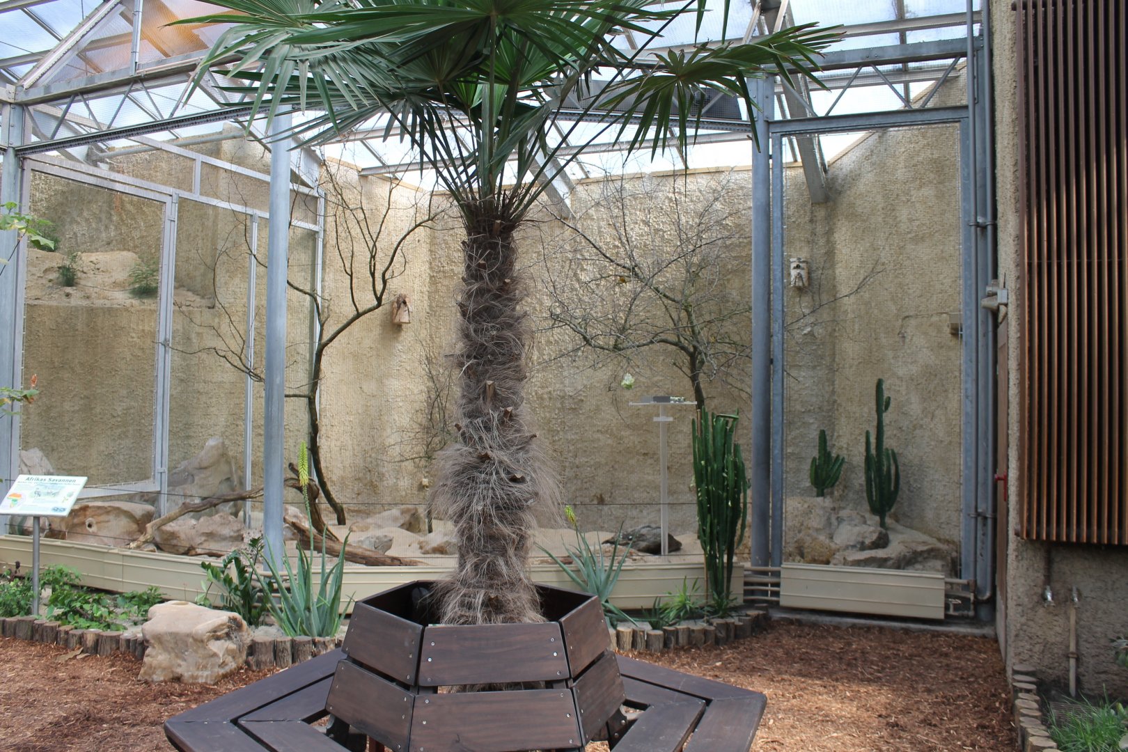 African savanne-aviary