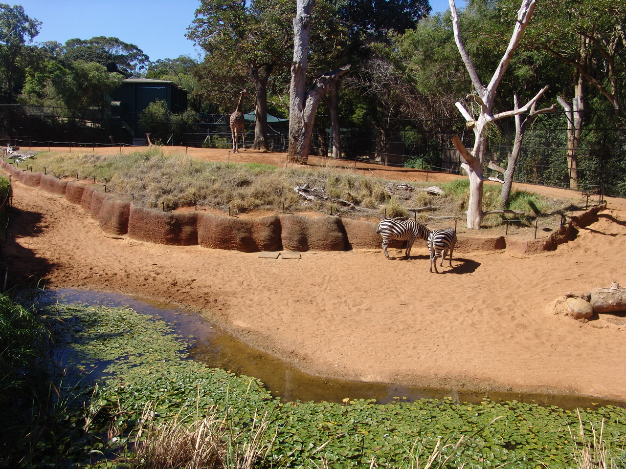 'African Savanne' exhibit