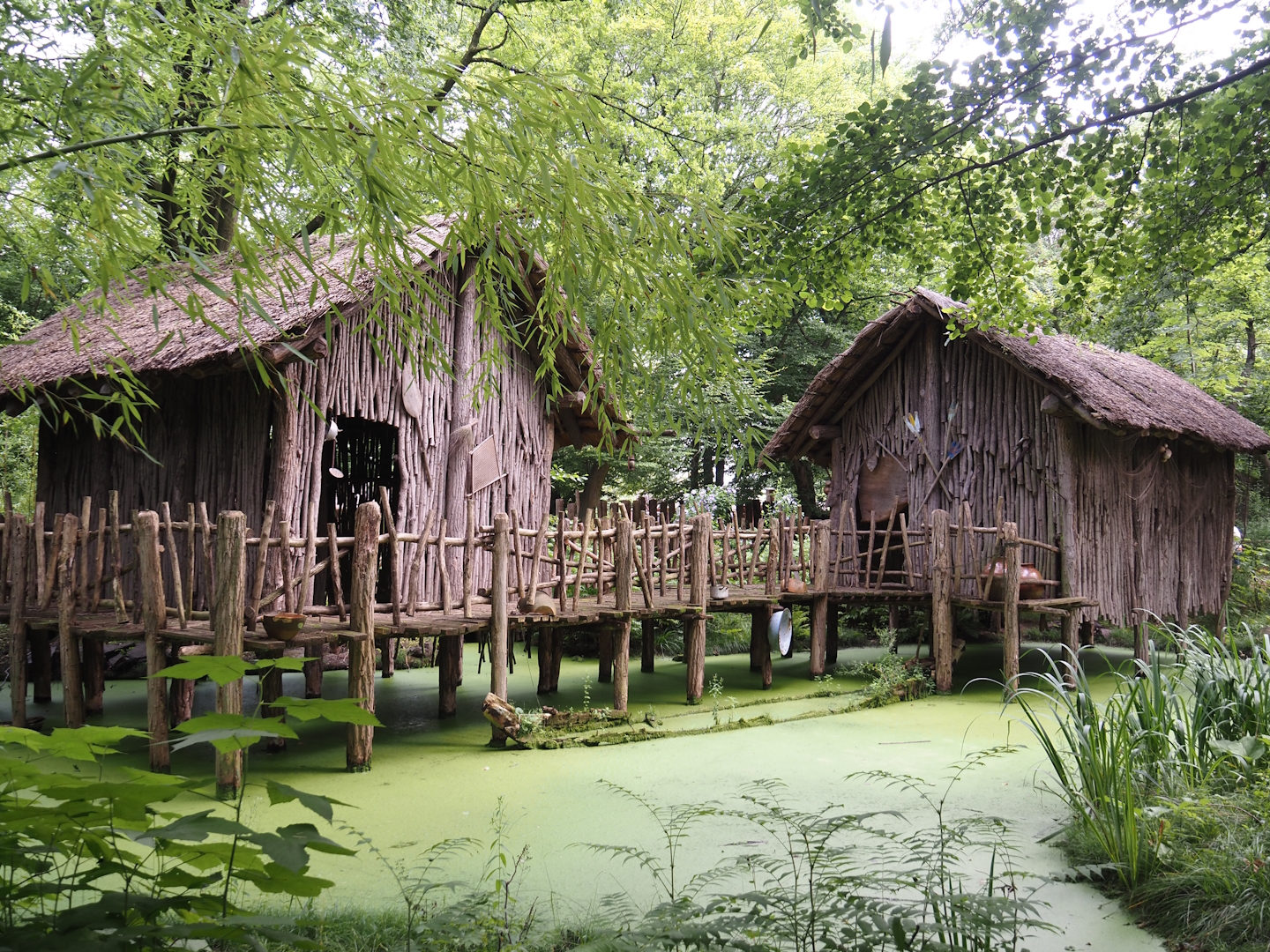 African section theming - Tofinou village, 2024-08-05