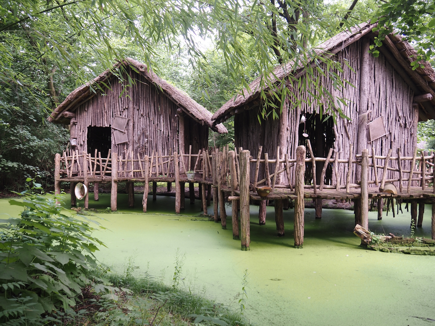 African section theming - Tofinou village, 2024-08-05