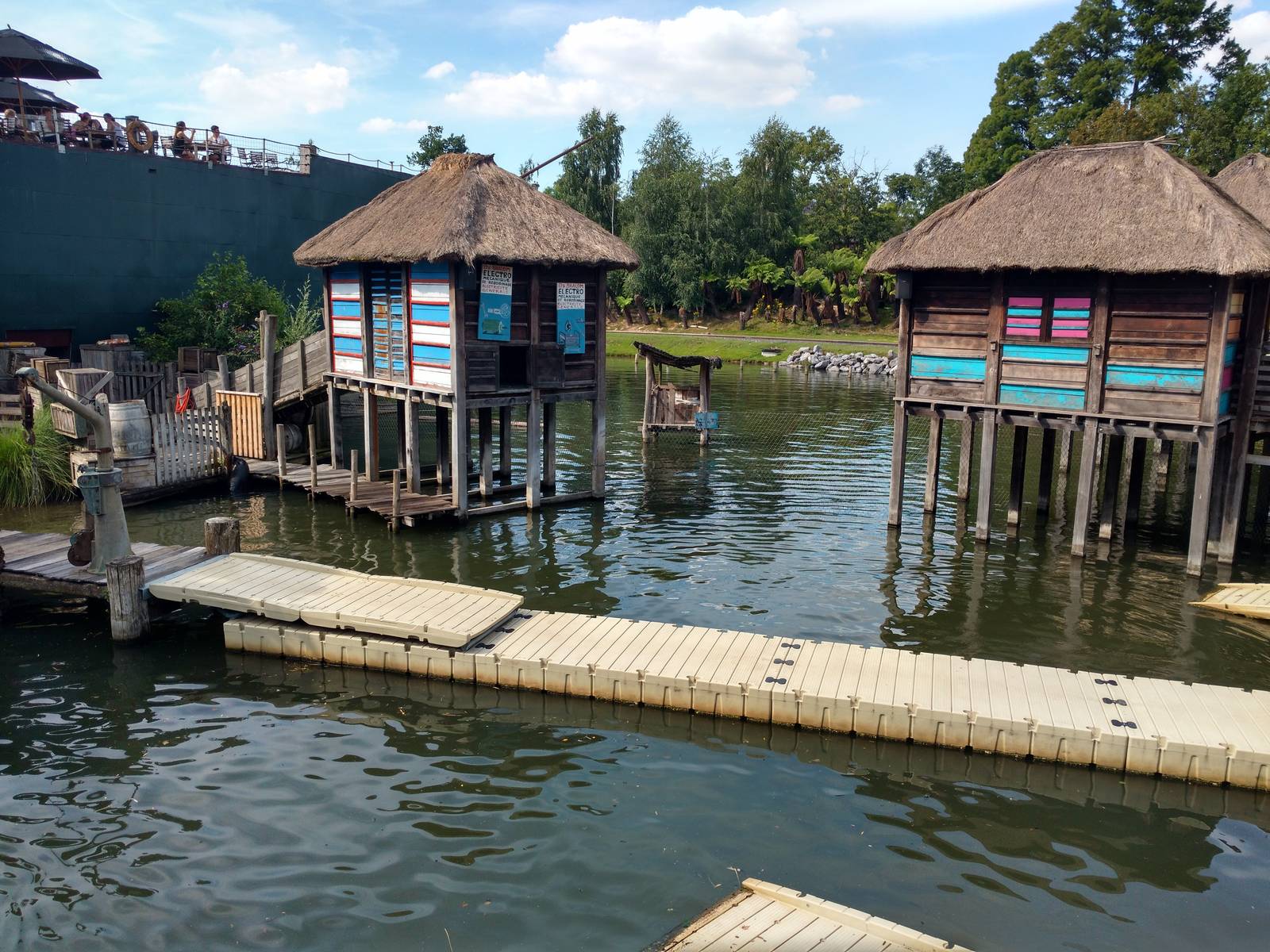 African silt village fur seal exhibit