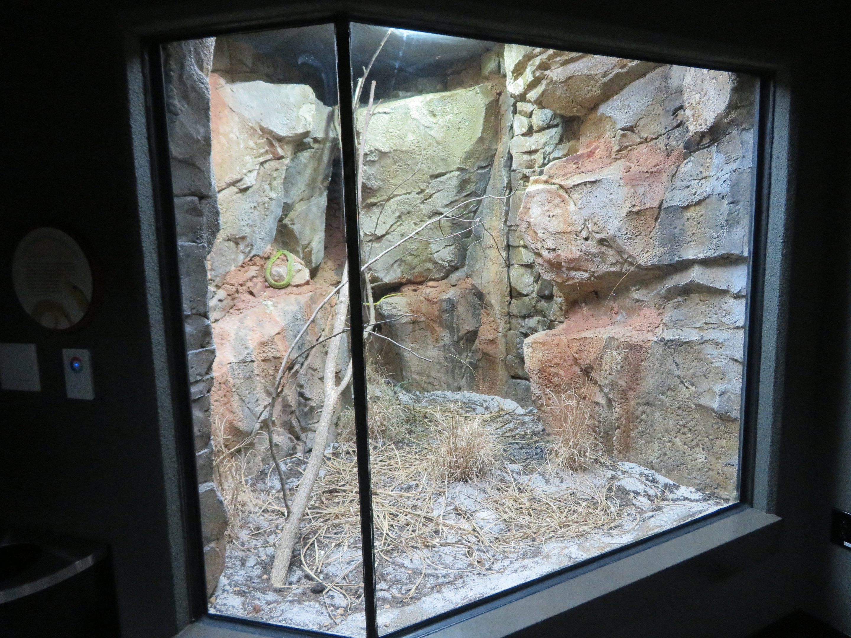 African Snake Exhibit