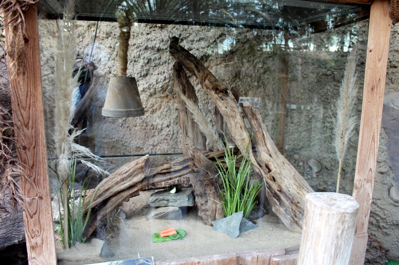 African Spiny Mouse Enclosure