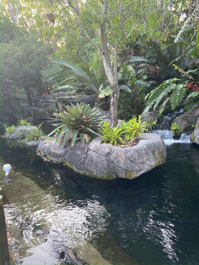 African Spoonbill and Roseate Spoonbill Exhibit