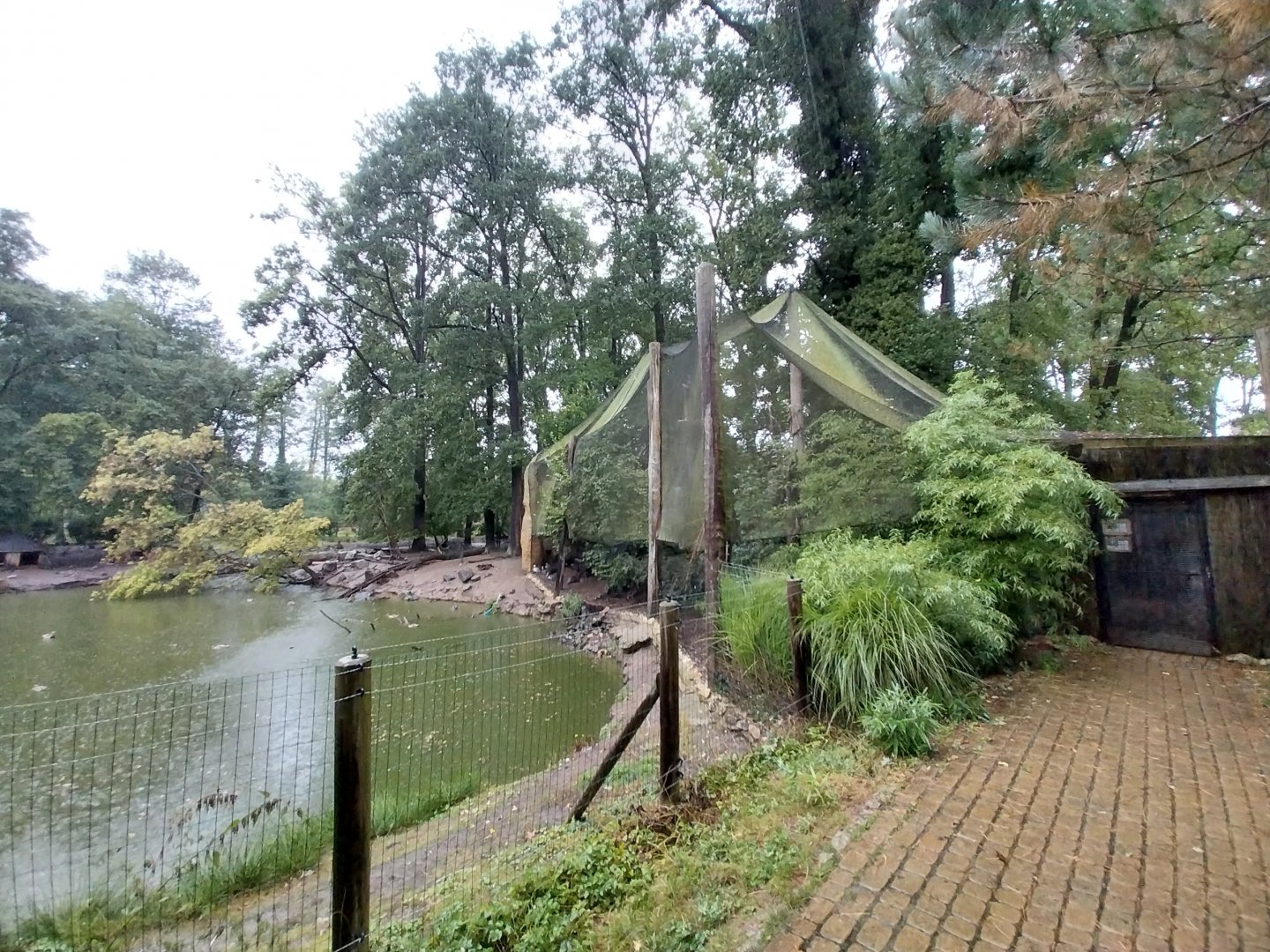 African spoonbill aviary