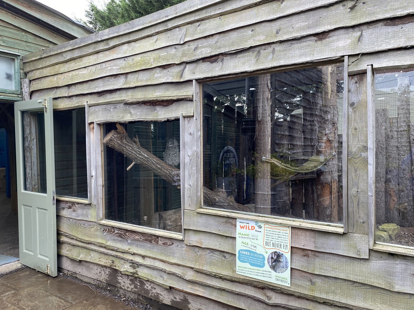 African spotted eagle owl enclosure, All things wild, UK