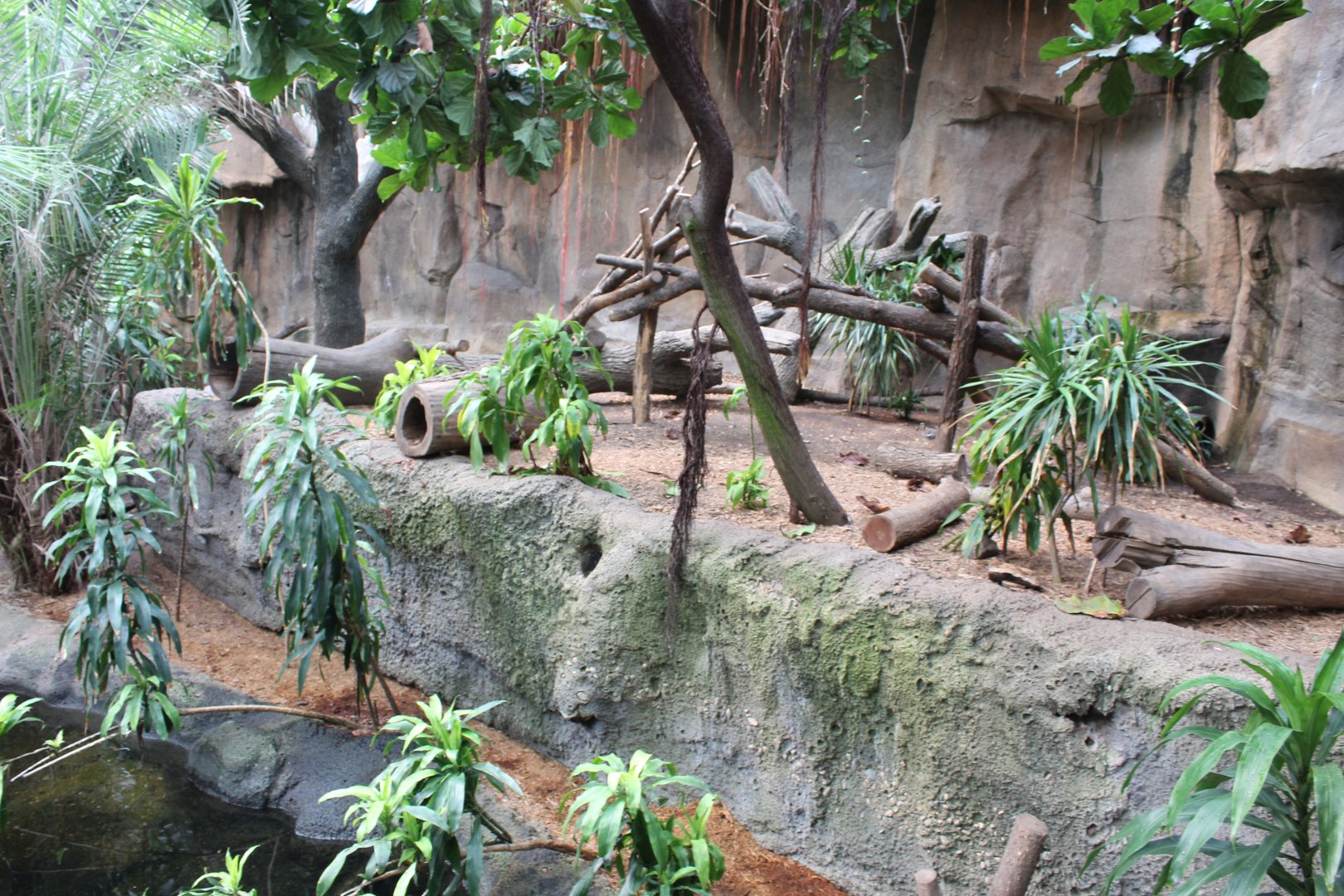 African Spotted-Necked Otter Exhibit - Lied Jungle