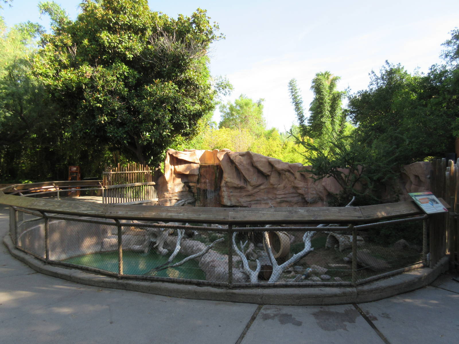 African Spotted-Necked Otter Exhibit