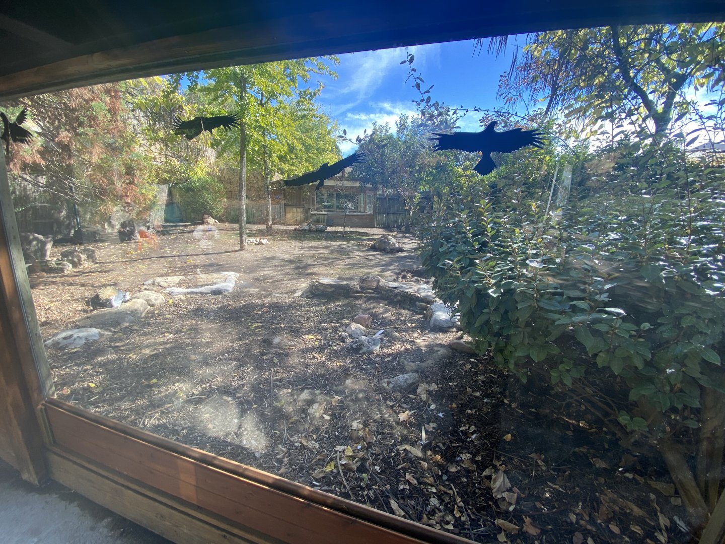 African spurred, Aldabra giant tortoise and grey-crowned crane enclosure