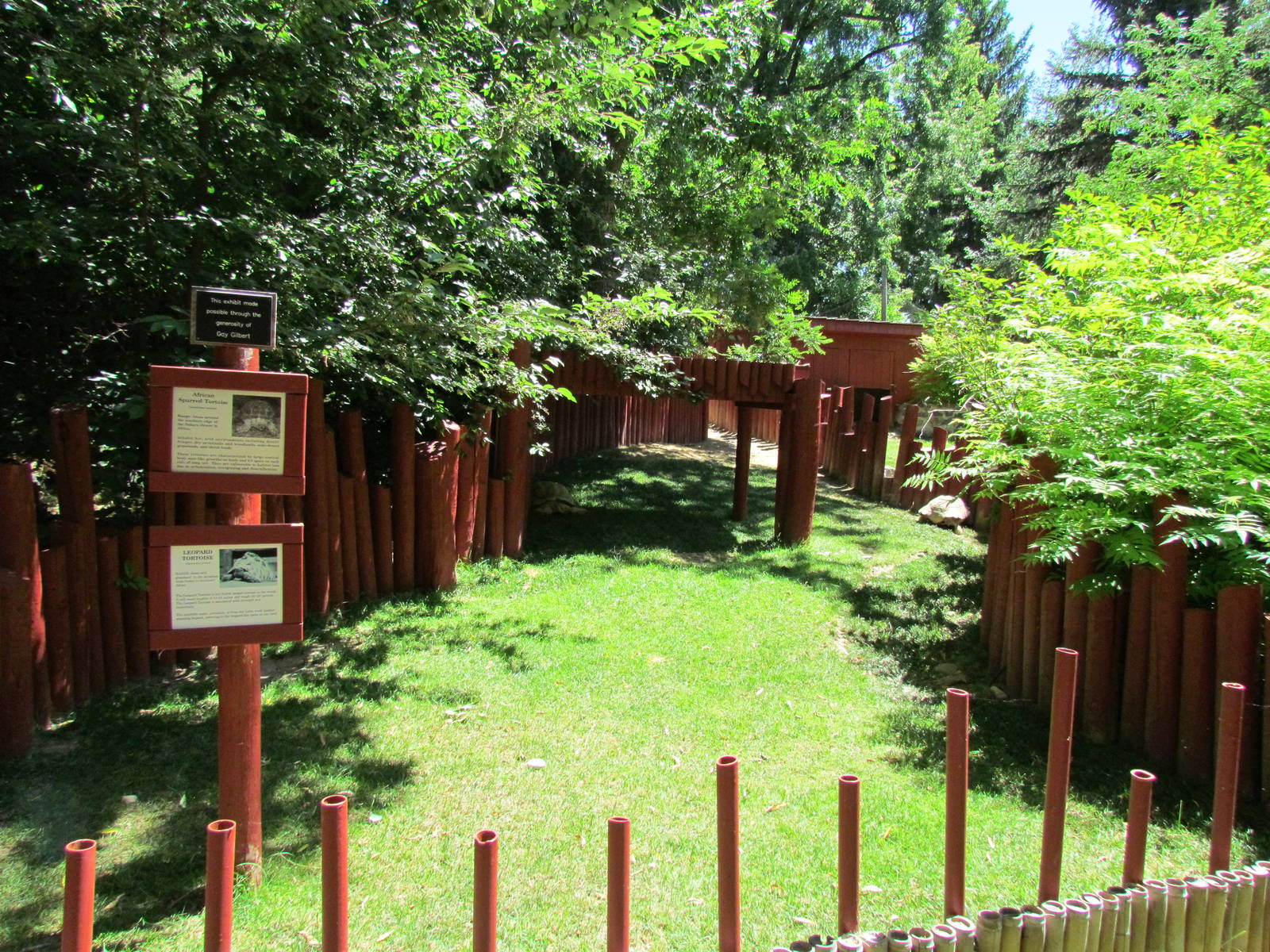 African Spurred Tortoise and Leopard Tortoise Exhibit