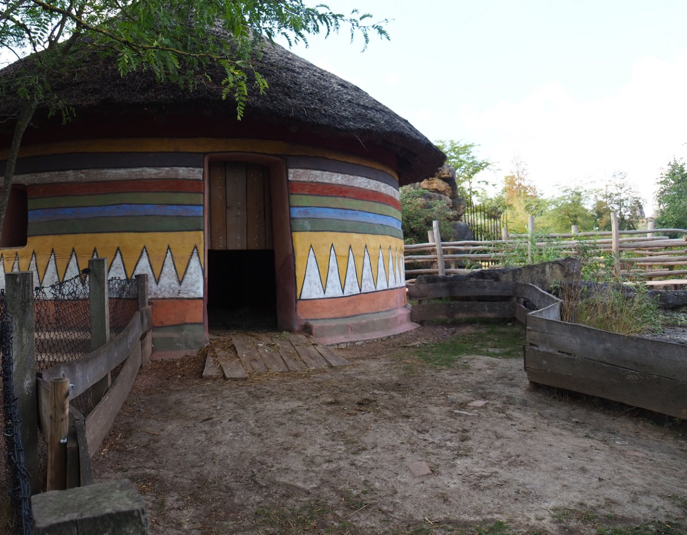 African spurred tortoise barn, 2020-09-02